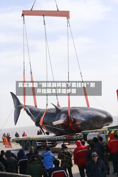 真实辅助“鲸娱麻将能下载挂吗”附开挂脚本详细步骤-第2张图片