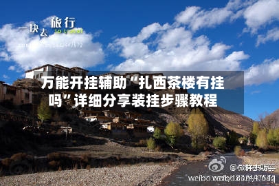 万能开挂辅助“扎西茶楼有挂吗”详细分享装挂步骤教程-第3张图片