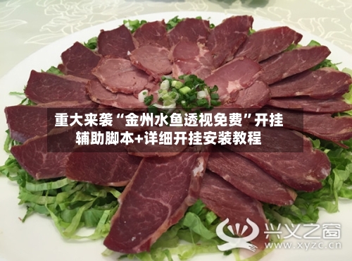 重大来袭“金州水鱼透视免费”开挂辅助脚本+详细开挂安装教程-第2张图片