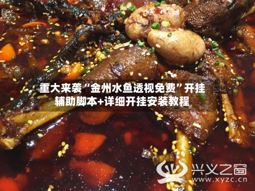 重大来袭“金州水鱼透视免费	”开挂辅助脚本+详细开挂安装教程-第3张图片