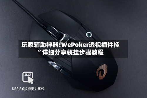 玩家辅助神器:WePoker透视插件挂”详细分享装挂步骤教程-第2张图片