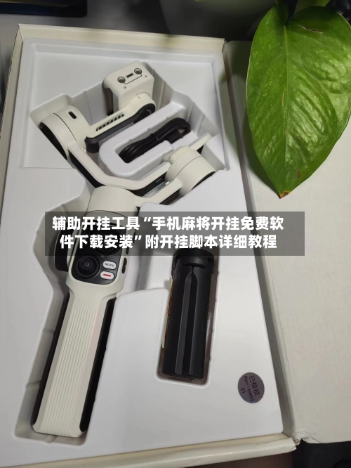 辅助开挂工具“手机麻将开挂免费软件下载安装”附开挂脚本详细教程-第3张图片