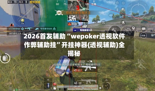 2026首发辅助“wepoker透视软件作弊辅助挂”开挂神器{透视辅助}全揭秘-第3张图片