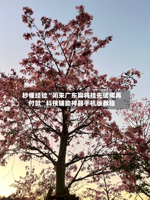 秒懂经验“闲来广东麻将挂先试用再付款”科技辅助神器手机版教程