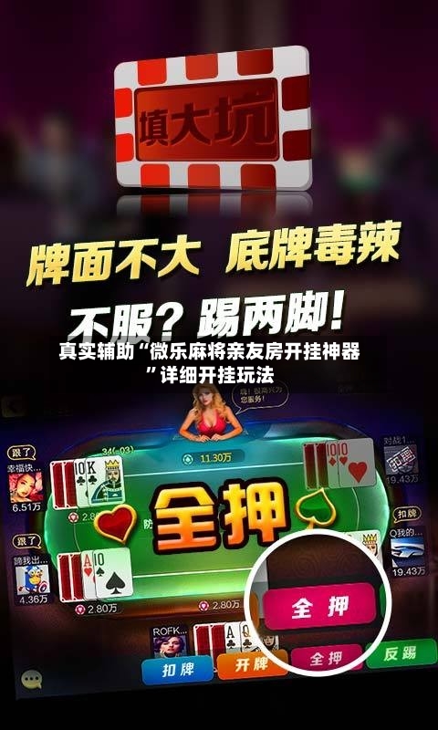 真实辅助“微乐麻将亲友房开挂神器”详细开挂玩法-第2张图片