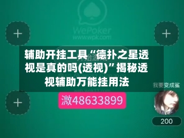 辅助开挂工具“德扑之星透视是真的吗(透视)	”揭秘透视辅助万能挂用法-第2张图片