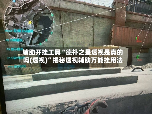 辅助开挂工具“德扑之星透视是真的吗(透视)”揭秘透视辅助万能挂用法-第3张图片