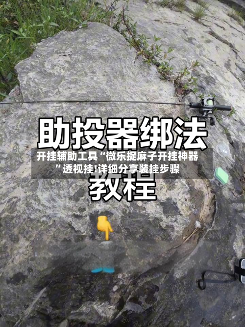 开挂辅助工具“微乐捉麻子开挂神器”透视挂!详细分享装挂步骤-第3张图片