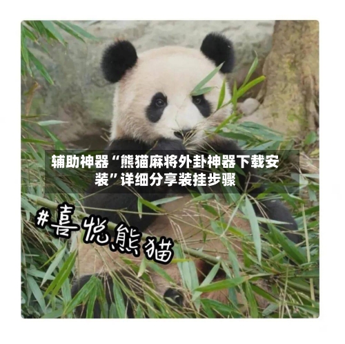 辅助神器“熊猫麻将外卦神器下载安装	”详细分享装挂步骤-第3张图片