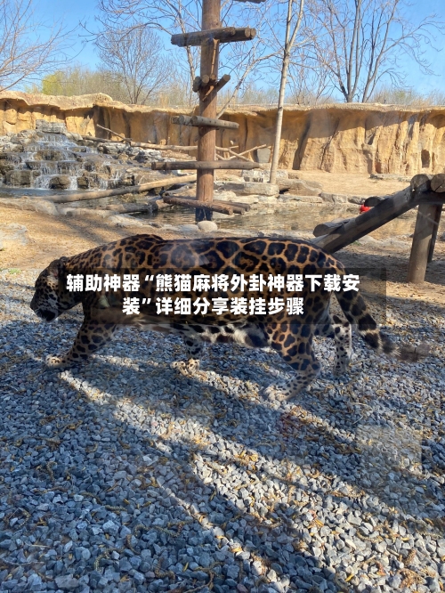 辅助神器“熊猫麻将外卦神器下载安装”详细分享装挂步骤-第2张图片