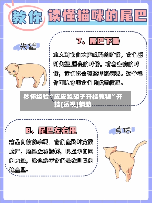秒懂经验“皮皮跑胡子开挂教程”开挂(透视)辅助-第3张图片