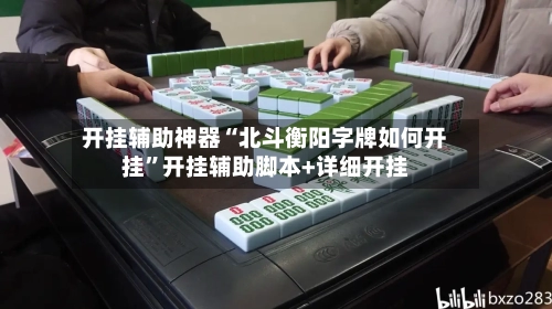 开挂辅助神器“北斗衡阳字牌如何开挂”开挂辅助脚本+详细开挂-第2张图片