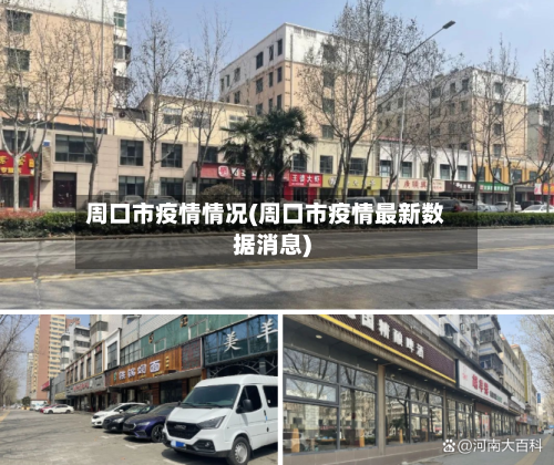 周口市疫情情况(周口市疫情最新数据消息)-第2张图片