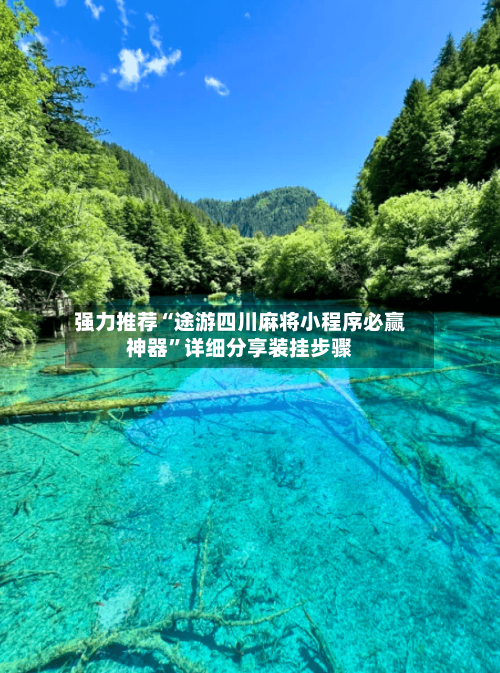 强力推荐“途游四川麻将小程序必赢神器”详细分享装挂步骤-第2张图片