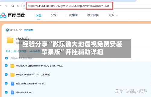 经验分享“微乐锄大地透视免费安装苹果版”开挂辅助详细-第2张图片