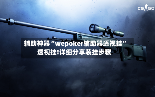 辅助神器“wepoker辅助器透视挂”透视挂!详细分享装挂步骤-第2张图片