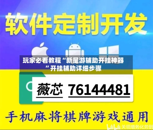 玩家必看教程“新星游辅助开挂神器”开挂辅助详细步骤