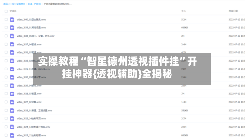 实操教程“智星德州透视插件挂”开挂神器{透视辅助}全揭秘-第2张图片