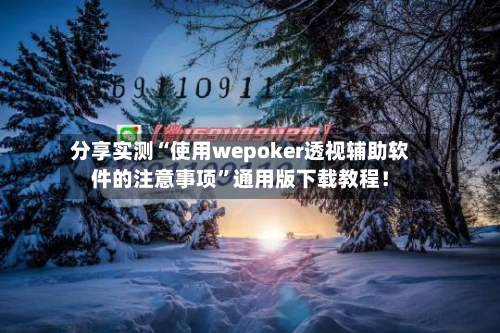 分享实测“使用wepoker透视辅助软件的注意事项”通用版下载教程！-第3张图片