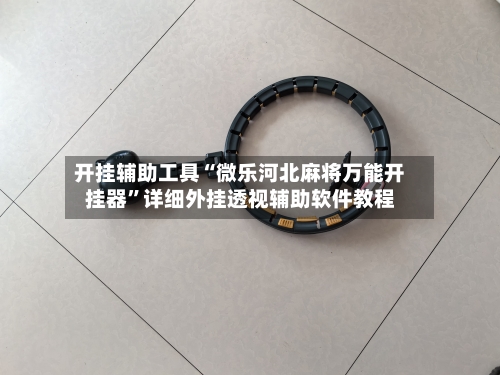 开挂辅助工具“微乐河北麻将万能开挂器”详细外挂透视辅助软件教程-第2张图片