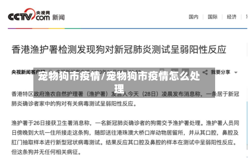 宠物狗市疫情/宠物狗市疫情怎么处理-第2张图片