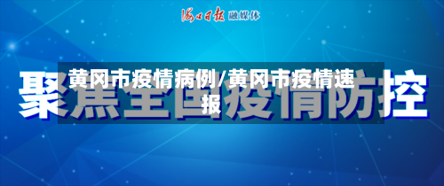 黄冈市疫情病例/黄冈市疫情速报-第2张图片