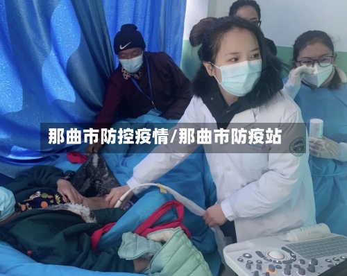 那曲市防控疫情/那曲市防疫站