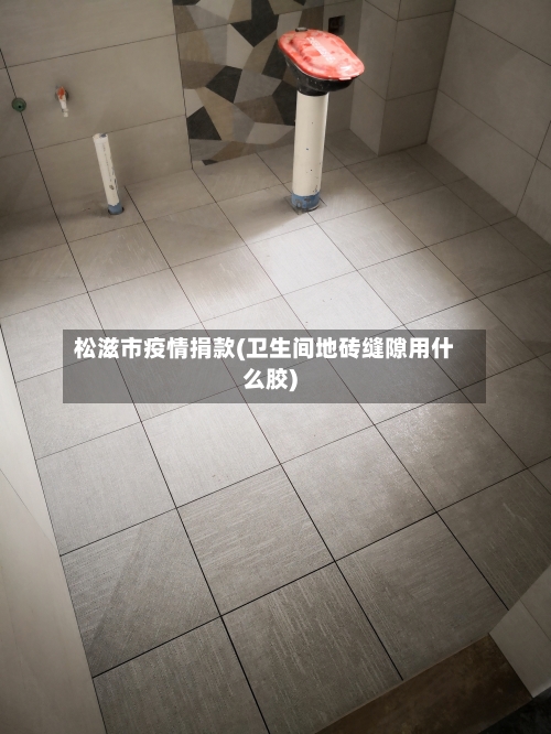 松滋市疫情捐款(卫生间地砖缝隙用什么胶)