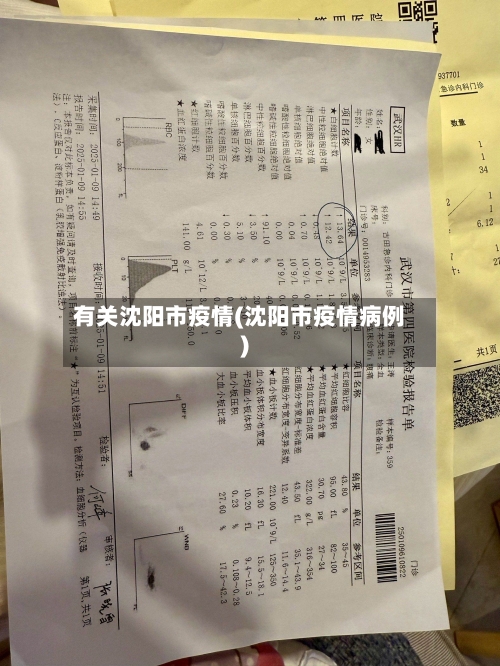 有关沈阳市疫情(沈阳市疫情病例)-第2张图片