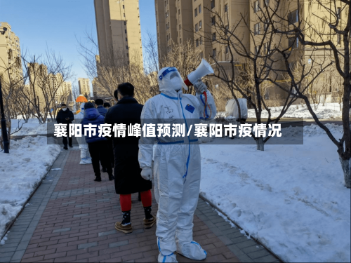 襄阳市疫情峰值预测/襄阳市疫情况