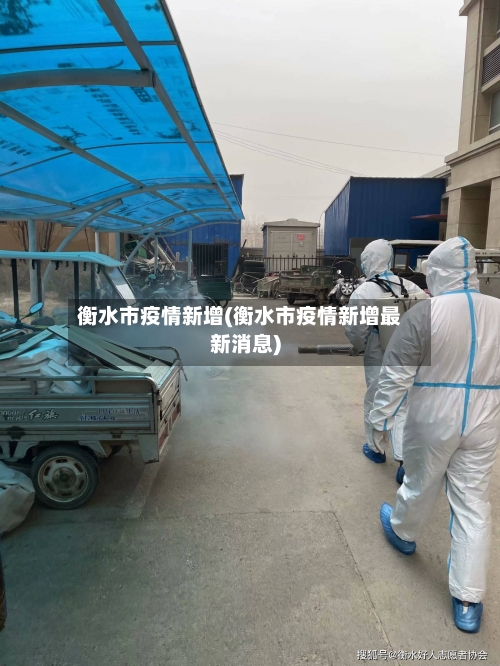 衡水市疫情新增(衡水市疫情新增最新消息)-第2张图片