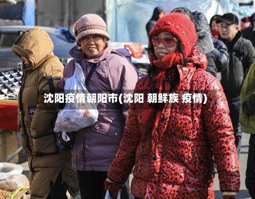 沈阳疫情朝阳市(沈阳 朝鲜族 疫情)-第3张图片
