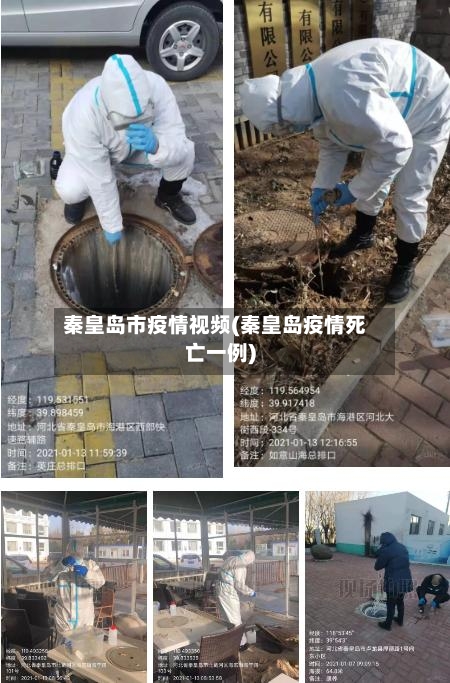 秦皇岛市疫情视频(秦皇岛疫情死亡一例)