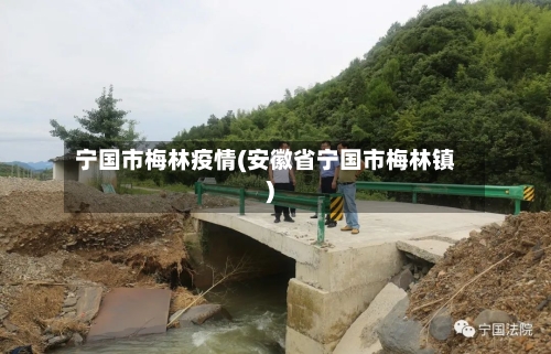 宁国市梅林疫情(安徽省宁国市梅林镇)-第2张图片