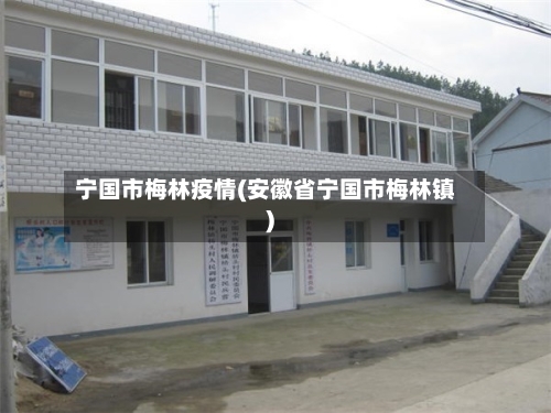 宁国市梅林疫情(安徽省宁国市梅林镇)-第3张图片