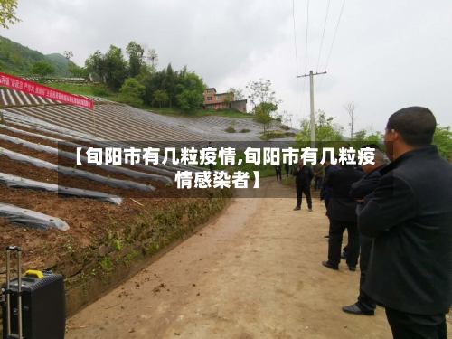 【旬阳市有几粒疫情,旬阳市有几粒疫情感染者】