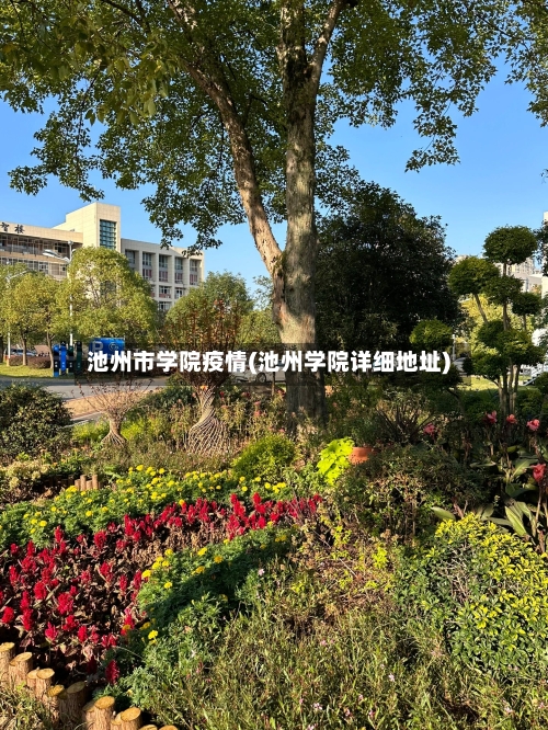 池州市学院疫情(池州学院详细地址)-第3张图片