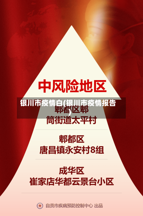 银川市疫情白(银川市疫情报告)-第3张图片