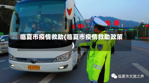 临夏市疫情救助(临夏市疫情救助政策)-第2张图片