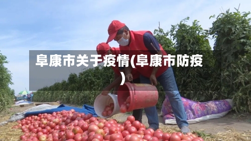阜康市关于疫情(阜康市防疫)