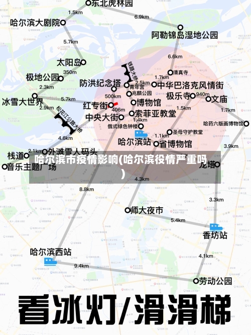 哈尔滨市疫情影响(哈尔滨役情严重吗)-第1张图片