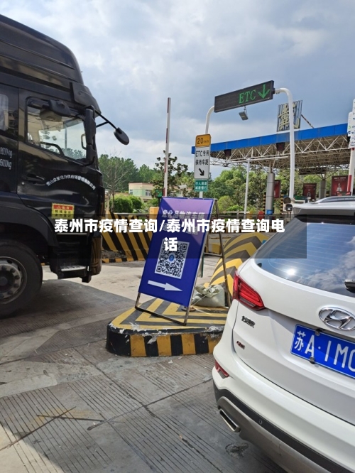 泰州市疫情查询/泰州市疫情查询电话-第2张图片