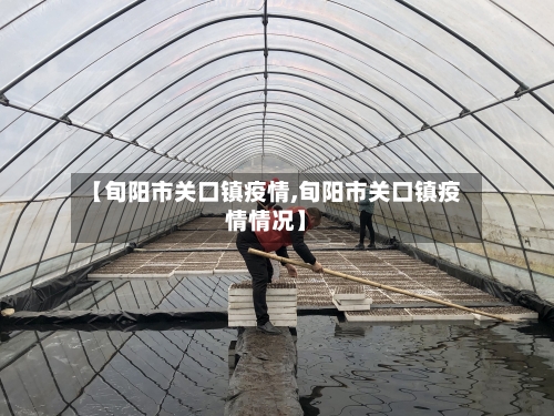 【旬阳市关口镇疫情,旬阳市关口镇疫情情况】