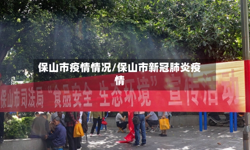 保山市疫情情况/保山市新冠肺炎疫情-第2张图片