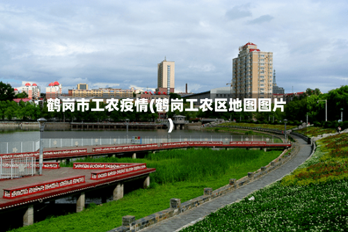鹤岗市工农疫情(鹤岗工农区地图图片)
