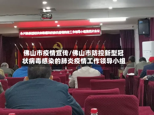 佛山市疫情宣传/佛山市防控新型冠状病毒感染的肺炎疫情工作领导小组
