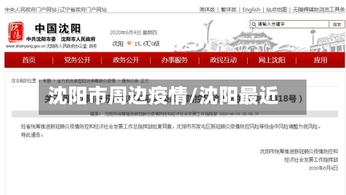 沈阳市周边疫情/沈阳最近-第3张图片