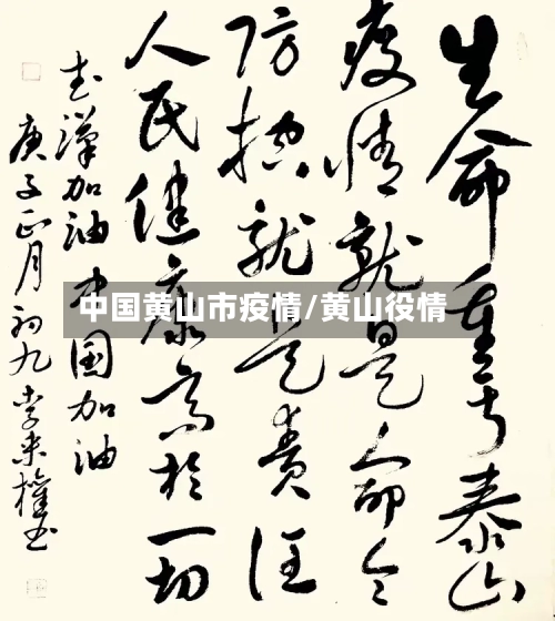 中国黄山市疫情/黄山役情-第3张图片