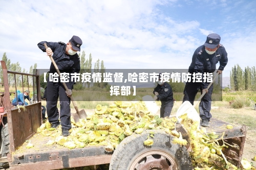 【哈密市疫情监督,哈密市疫情防控指挥部】
