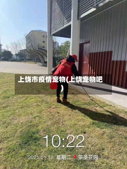 上饶市疫情宠物(上饶宠物吧)-第2张图片